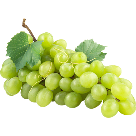 Are Grapes Healthy Food Are Grapes Healthy Food
