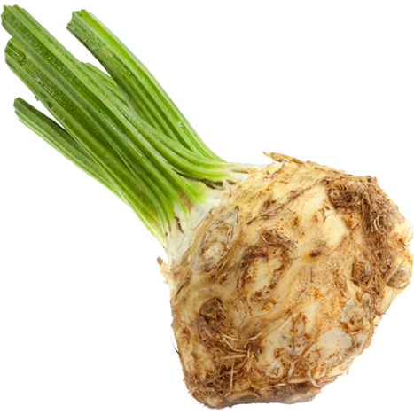 Celeriac