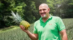 Andres la Finca Pineapple