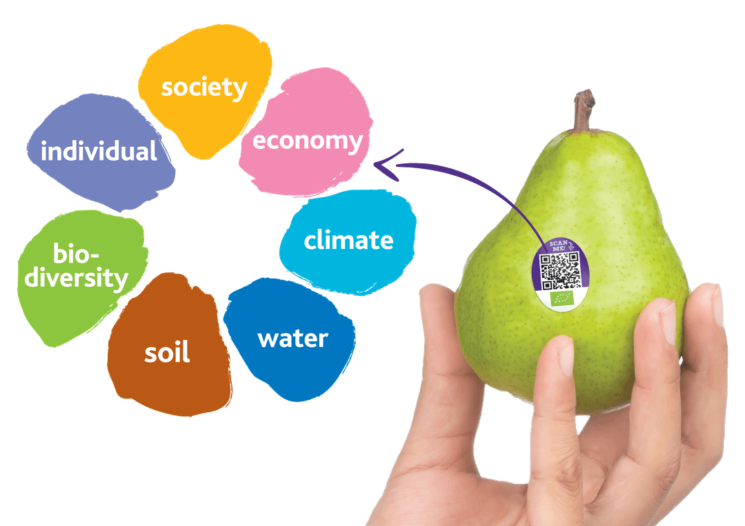 Flower and Pear FR optimized 350