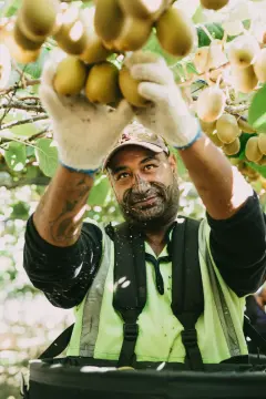 Kiwi Zespri9