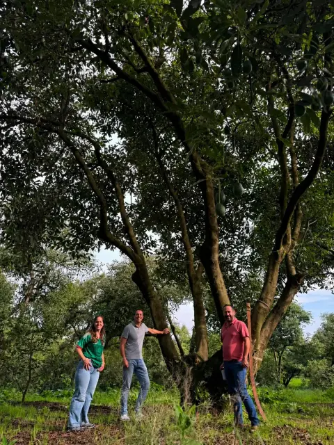 ORA Avova 9 Team