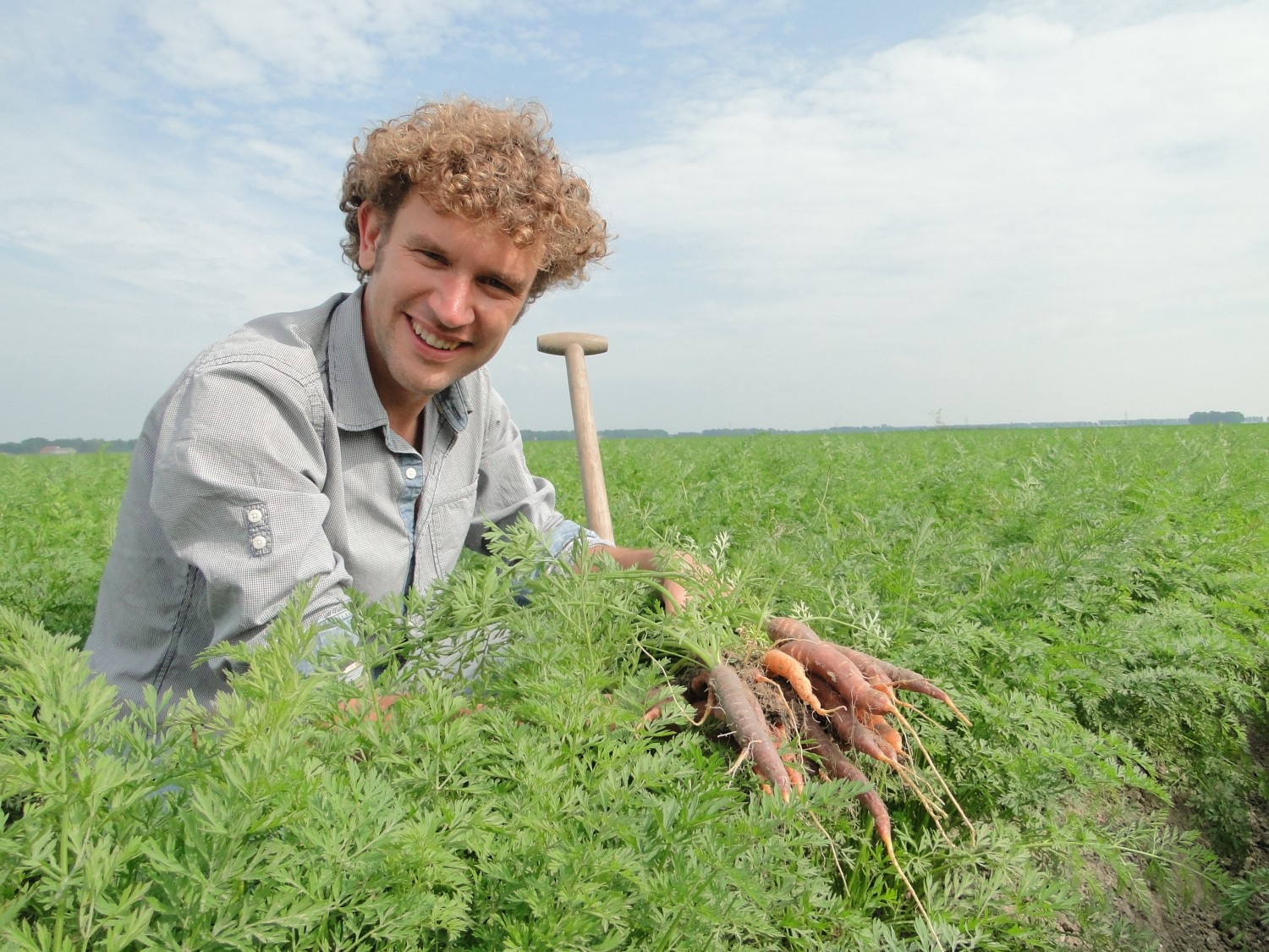 Krispijn van den Dries met BD-wortelen